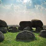 Calista Stoltenberg Profile Picture